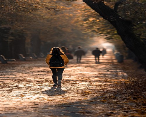 Person walking comfortably in a park during golden hour